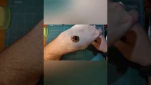 Как содержать бронзовок. (Часть 2)