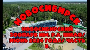 Новосибирский зоопарк имени Р.А. Шило. Июнь 2024 года. Часть 8.