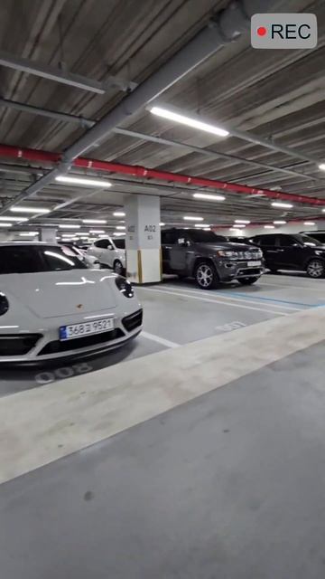 Обзор премиум автомобилей для наших клиентов Республика Корея #auto #korea #доставкапомиру #лизинг