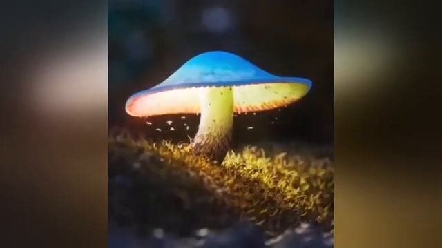 Смеяться разрешено:)  | Laughing Is Allowed:  2023