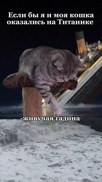Если бы я и моя кошка отказались на Титанике 🤭 смотреть онлайн