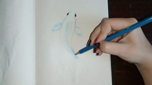 Как нарисовать карпа карандашами