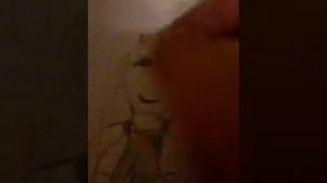 Звездочка баттерфляй