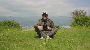 Переезд в Геленджик на ПМЖ. Жилье. Цены. Выводы, спустя