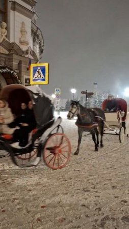 Лошади. С 🐈🐕 вышли погулять по центру города
