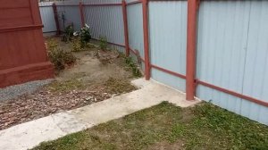 Обзор дома в деревне