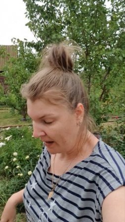 Собрала не всю клубнику, мошки нашпилили все ноги, пришлось убегать с дачи🤦♀️😃