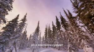 ИСТОРИЯ ОДНОГО ОХОТНИКА В ДИКОЙ ТАЙГЕ. ОХОТА НА ИЗЮБРЯ