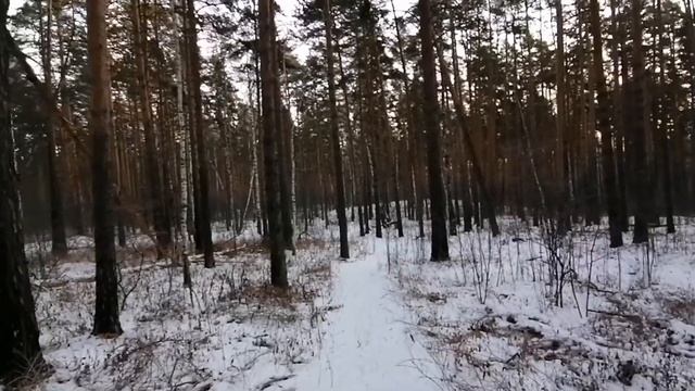 ASMR SOUNDS Расслабляющая прогулка на природе