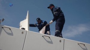 Более двух тысяч штук молоди озерного лосося выпустили в реку Шуя в Карелии