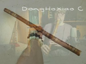 Обзор нового варианта флейты DongHoXiao C