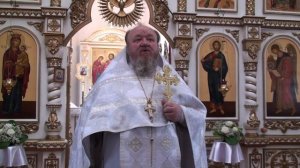 29.05.2025 г. Проповедь протоиерея Сергия Чибисова  Свято-Митрофановский храм село Верхний Мамон.