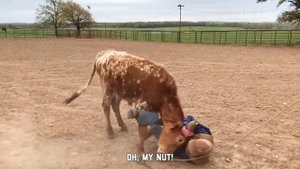 Idiots Outside! Fails Of The Week