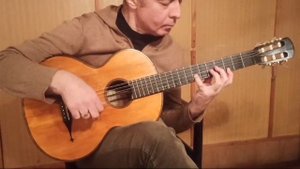 Guitar J.G.Scherzer 1868.