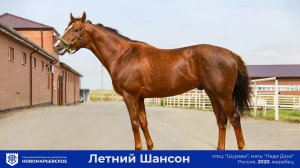 Продается опытный жеребец «Летний Шансон»