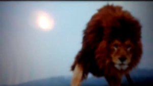 Песня про львов