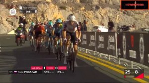 19.02.2025 Тур по ОАЭ. Объединенные Арабские Эмираты. ЭТАП 3