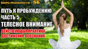 56. Путь к пробуждению. Часть 5. Телесное внимание.