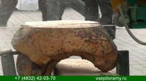 Ленточная пилорама Тайга Т  2Б с бензиновым двигателем