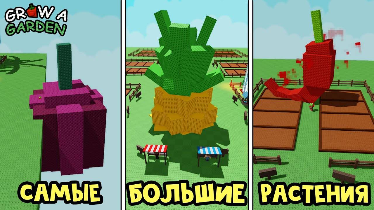 CАМЫЕ БОЛЬШИЕ РАСТЕНИЯ в игре Вырасти сад роблокс  Grow a Garden roblox  Собираю коллекцию (№1)