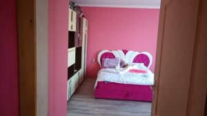 дом в Сербии с хорошим ремонтом🔥 БЕЗ РИЭЛТОРСКИХ ПРО?