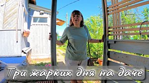 ТРИ ЖАРКИХ ДНЯ НА ДАЧЕ