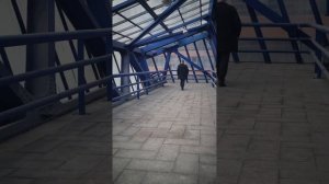 5 Серия "Чистосердечное признание"