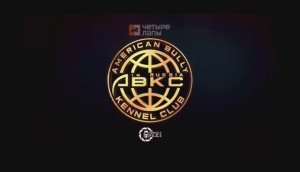CH ABKC BIG DOGS ROMANIA MR. X
