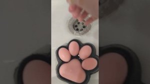 🐾🐱Туториал как правильно мыть таба лапки😺🐾