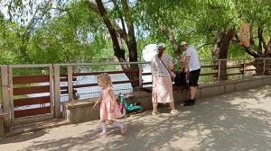 Московский зоопарк. Центральный вход,символ зоопарка -манул