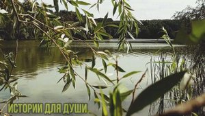 свекровь на свадьбе подарила нам квартиру, мама деньг?