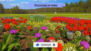 🎁 Когда я заглянула под диван свекрови, то обомлела. Я