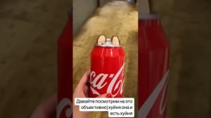 короткая рецензия на Лубубу от Ксении Собчак: мохнатая фигня для инфантильных теток  #юмор #собчак