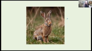 Кто где живёт? Домашние и дикие животные