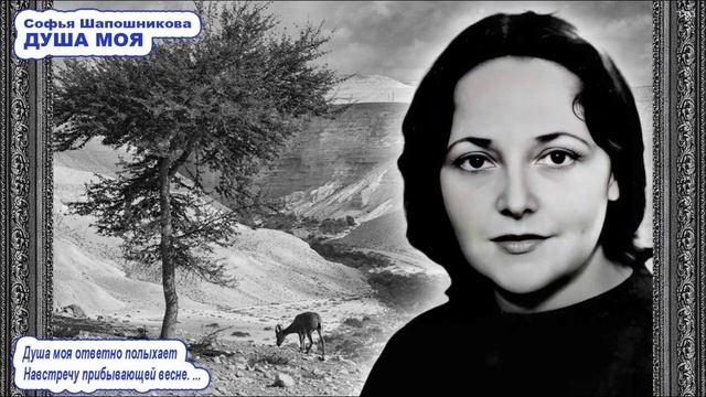 Песня «ДУША МОЯ» \ Софья Шапошникова \ Сионистская дис? смотреть онлайн