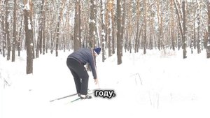 Жестокое нападение волков зимой в России