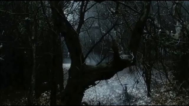 СОННАЯ ЛОЩИНА клип смотреть онлайн