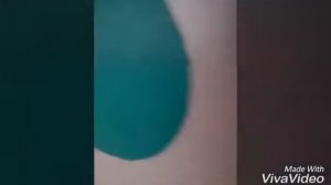 Замотали в скотч