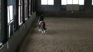 Конный спорт, соревнования, выездка, КСК Графиня