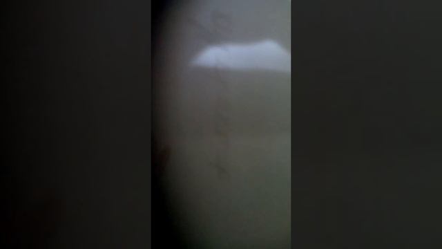 Парк юрского периода (реален) ожидание против реальности смотреть онлайн