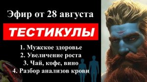 ⚡ Арсен Маркарян: МУЖСКАЯ гигиена, тестикулы, КОФЕ