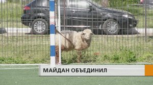 Спорт, дружба и традиции