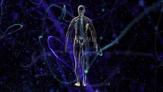 🦠 Матрица Гаряева от аутоиммунных заболеваний | Восс?