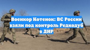 Военкор Котенок: ВС России взяли под контроль Редкодуб в ДНР