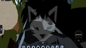 коты-воители