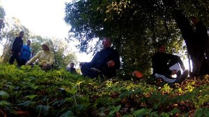 Андрей Олегович Милянюк о медитации в цигун