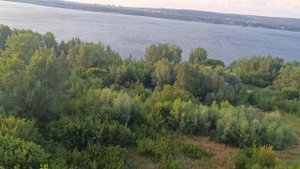 Гнездо Романа в Морквашах