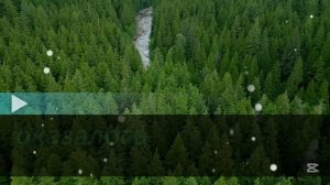 Мои эгоистичные родители не пришли на первый день рож?
