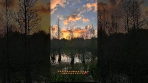 Медитация на очищение мыслей и полей от негативных эн?