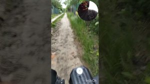 движение вверх_wenbox f9